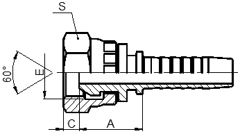 BSP FEMALE 60° CONE SWIVEL NUT