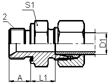 BSP MALE WITH ED-RING