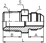 JIC MALE 37° CONE/BSPT MALE